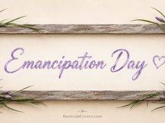 Emancipation Day Flowers Facebook Cover & Phone Wallpaper